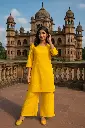 Dyeable Rayon Cotton with Fine Chikankari Embroidery-Kurti & Plazo